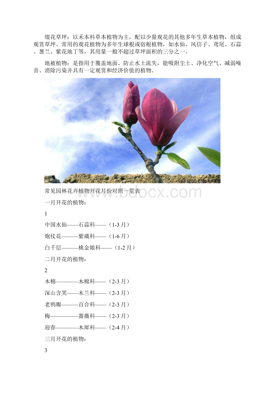 园林绿化人必须知道的花卉专有名词.docx_第2页