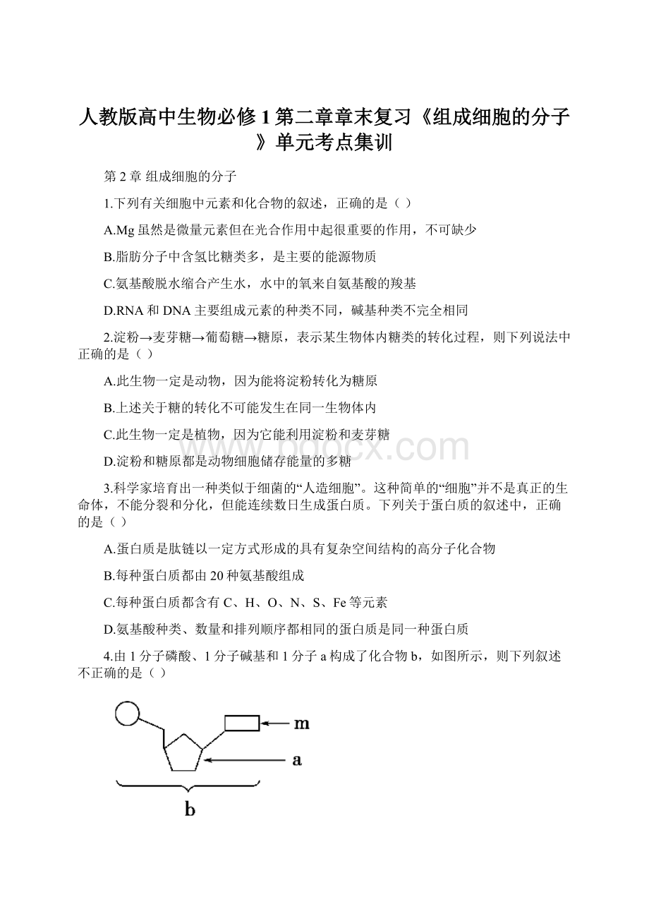 人教版高中生物必修1第二章章末复习《组成细胞的分子》单元考点集训Word文档格式.docx