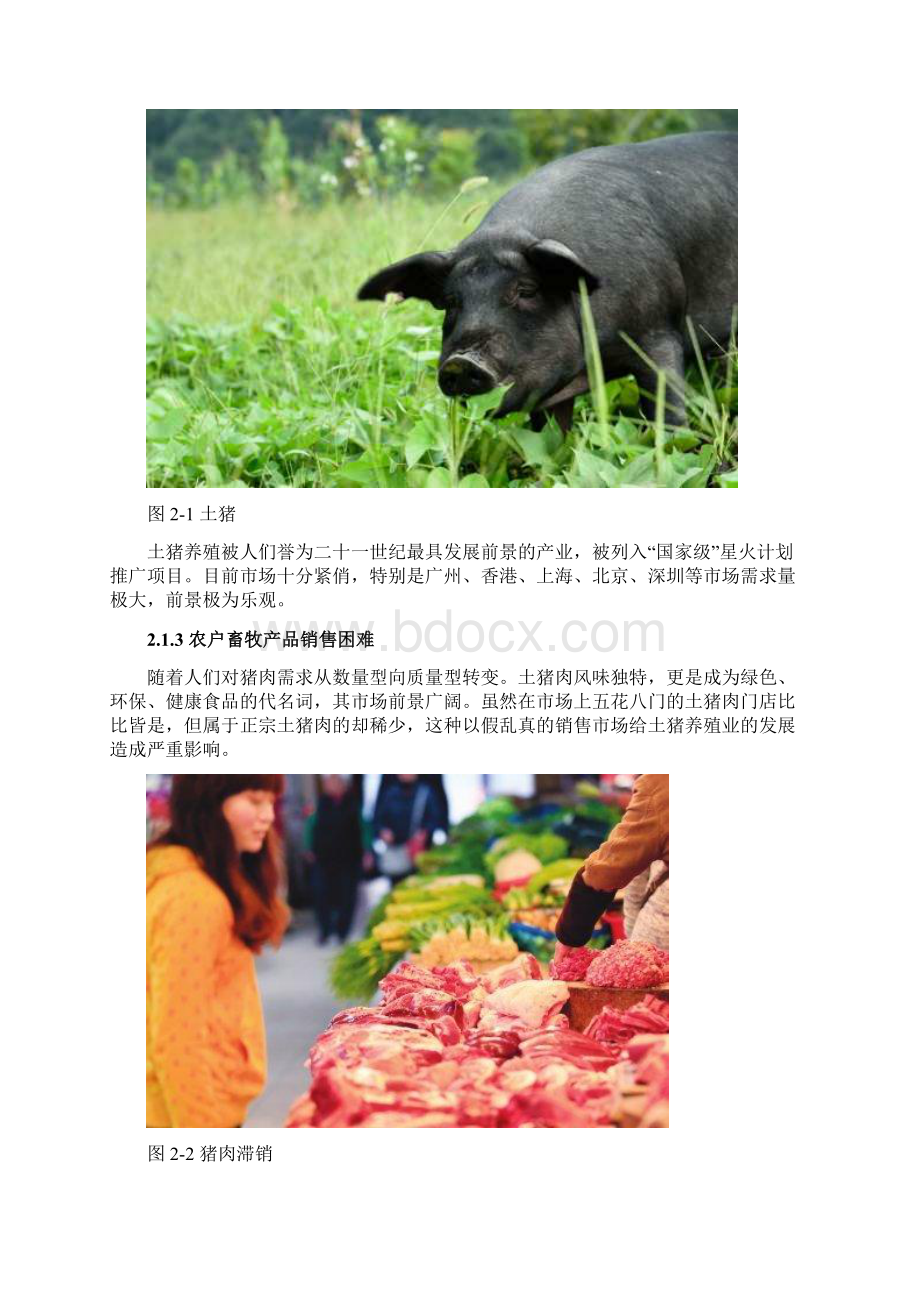 生猪养殖项目可行性实施分析报告.docx_第2页