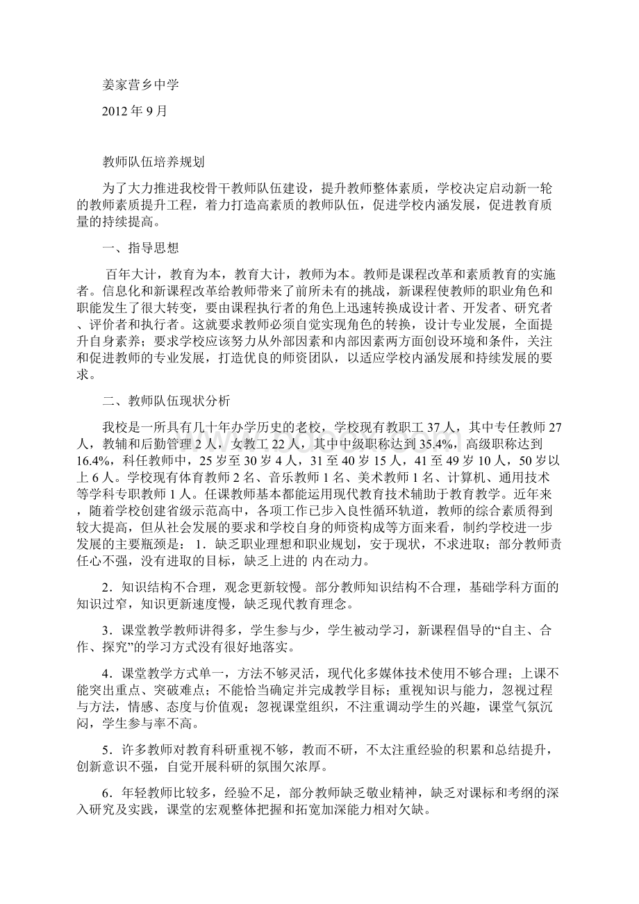 教师队伍培养规划.docx_第3页