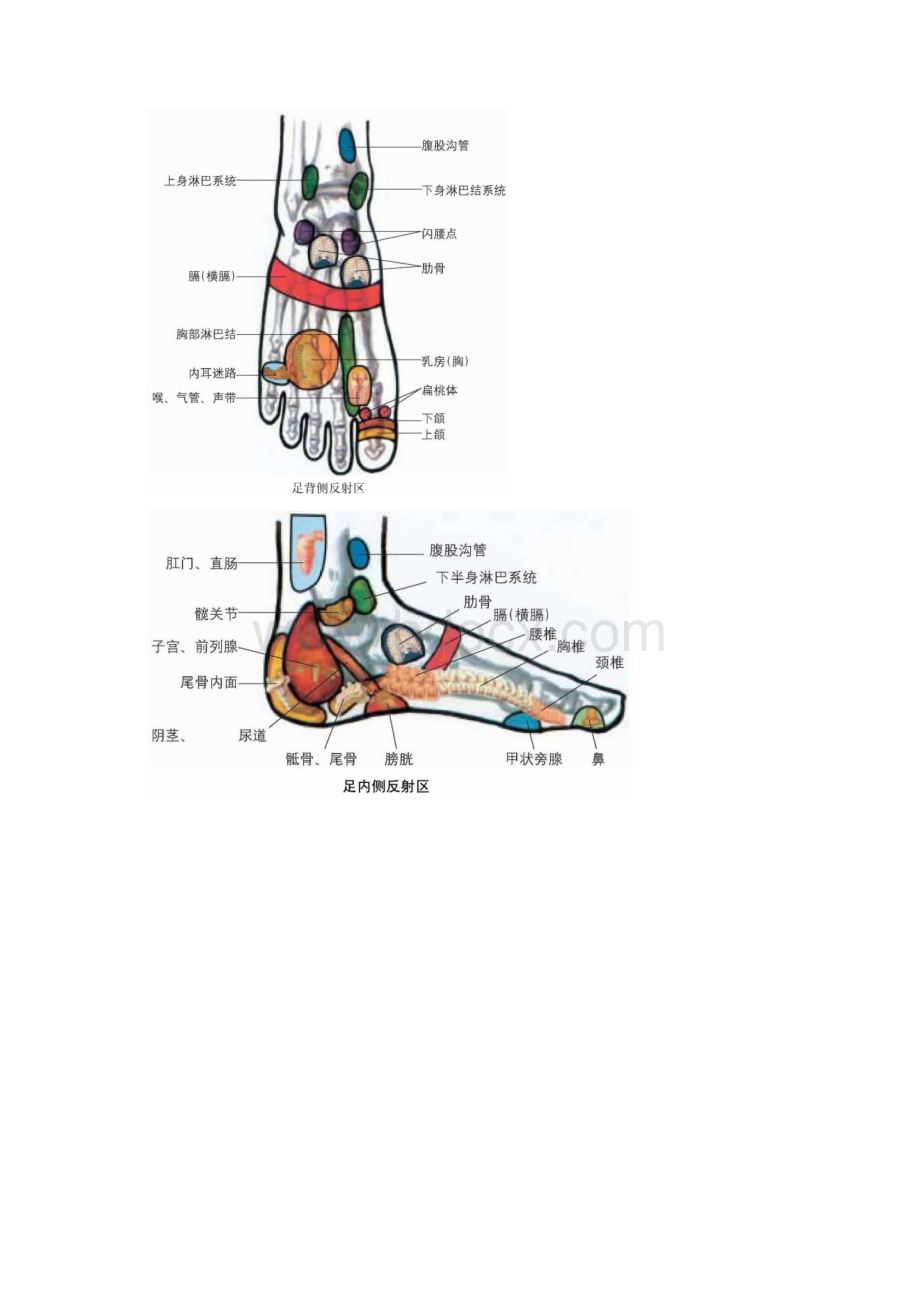 人体全息穴位图32张.docx_第3页