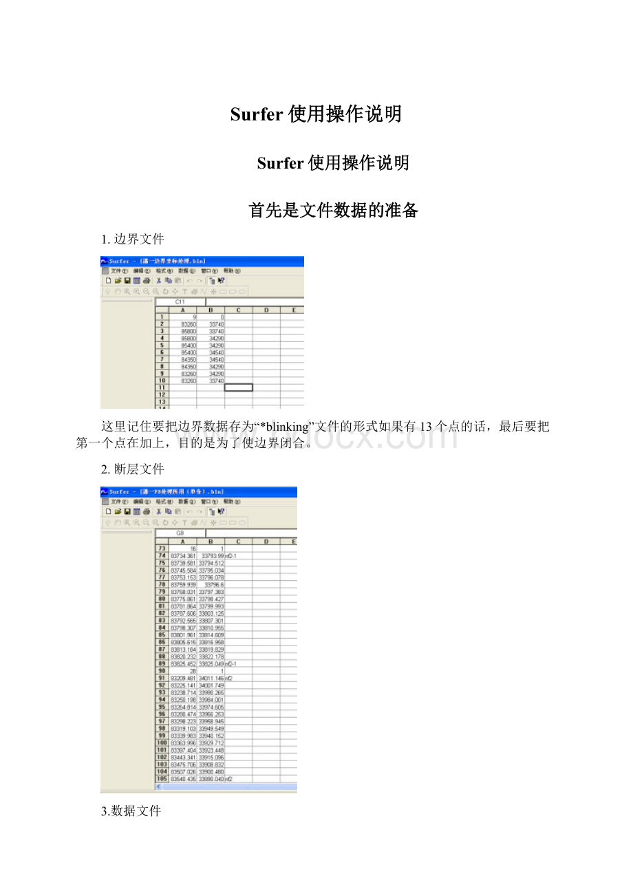 Surfer使用操作说明.docx_第1页