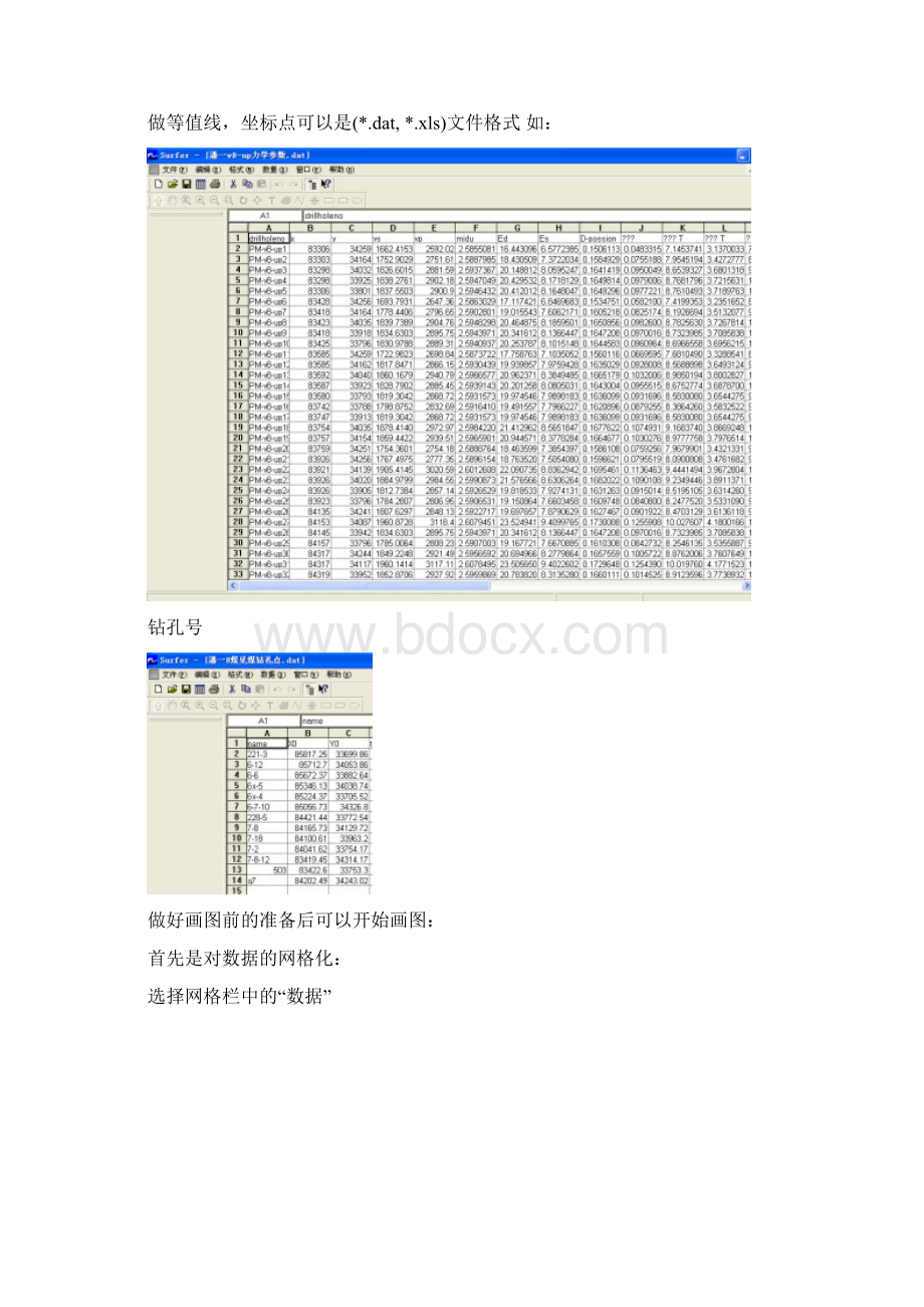 Surfer使用操作说明.docx_第2页