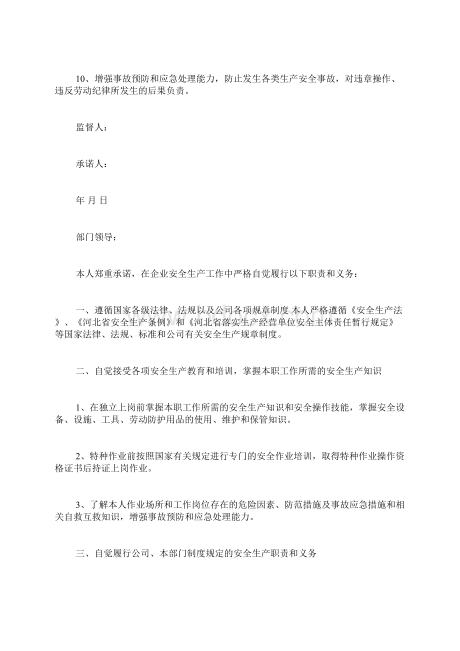 个人安全承诺书六篇Word文档格式.docx_第2页