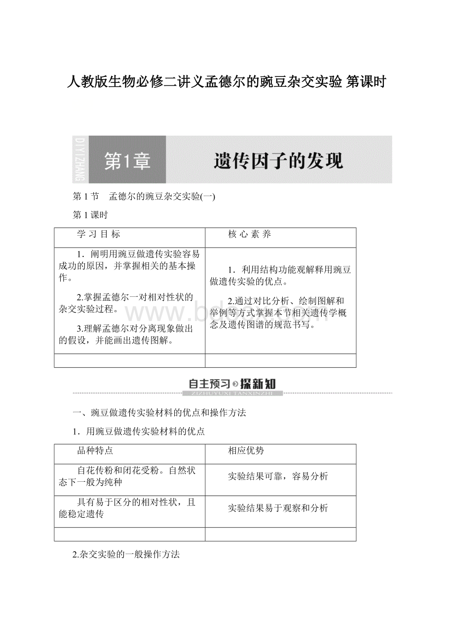 人教版生物必修二讲义孟德尔的豌豆杂交实验 第课时.docx_第1页