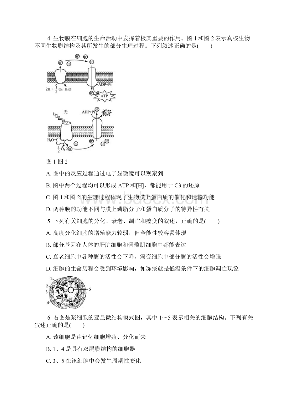 苏州市届高三年级第一次模拟考试生物试题及答案Word格式.docx_第2页