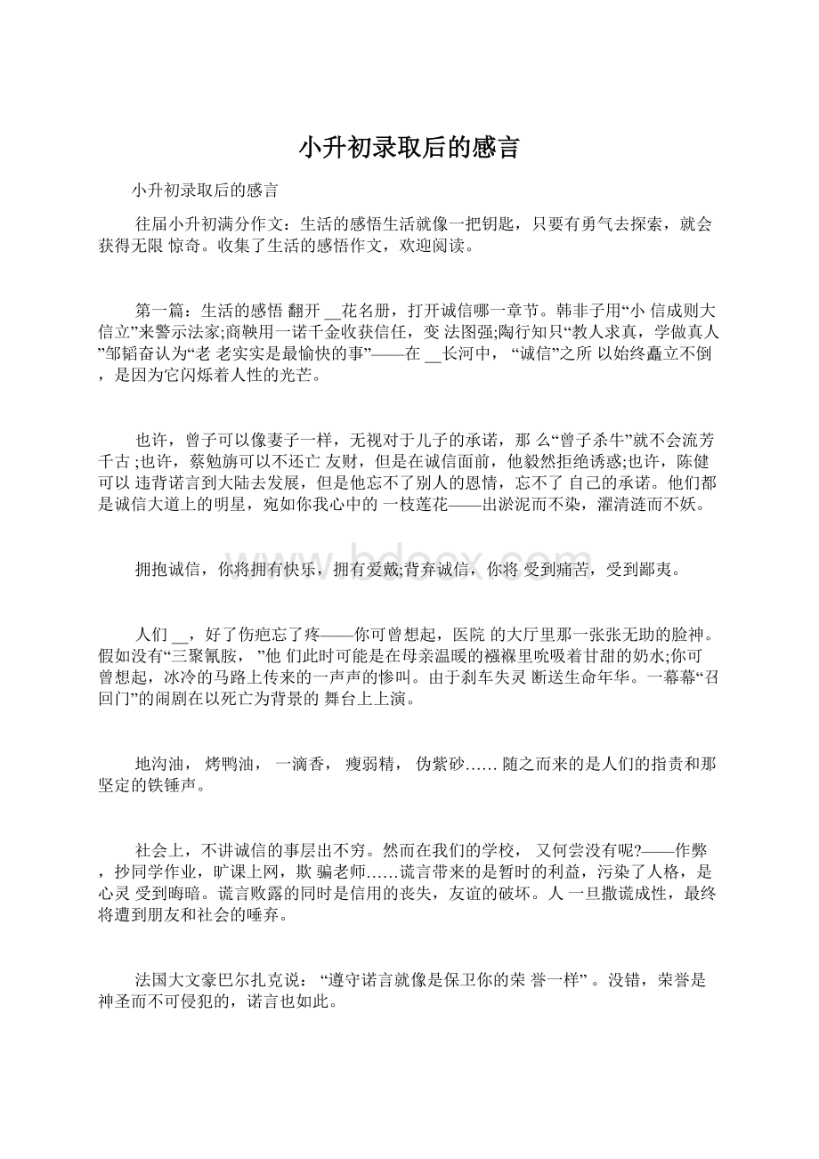 小升初录取后的感言Word格式文档下载.docx