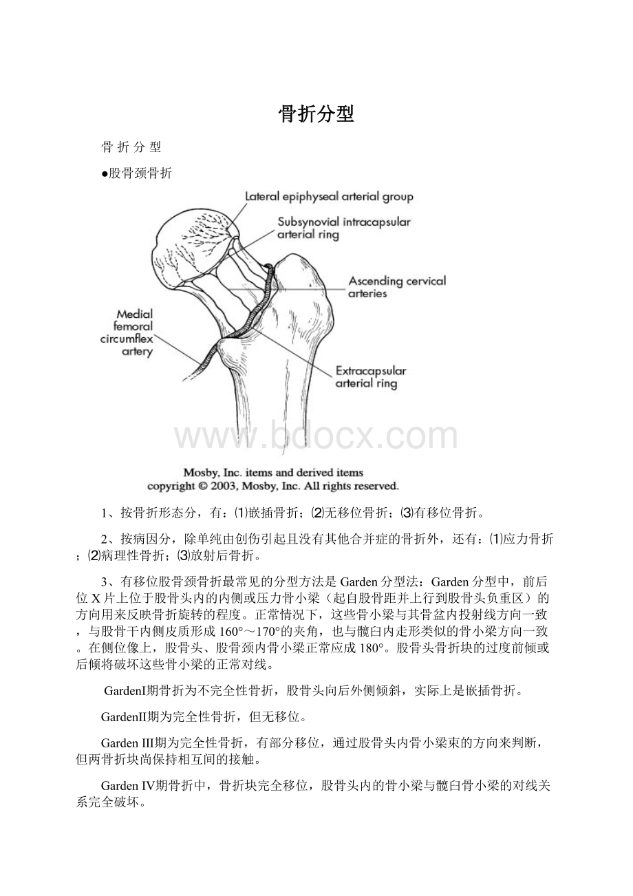 骨折分型.docx