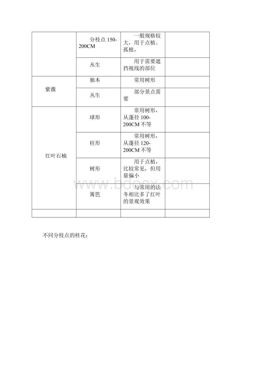 常规苗木苗圃种植规划.docx_第2页