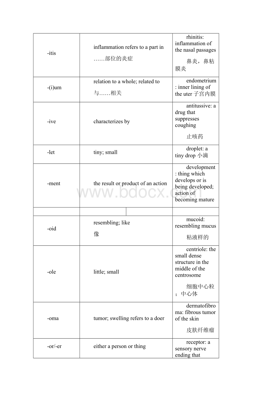 医学英语词根词缀大全.docx_第3页