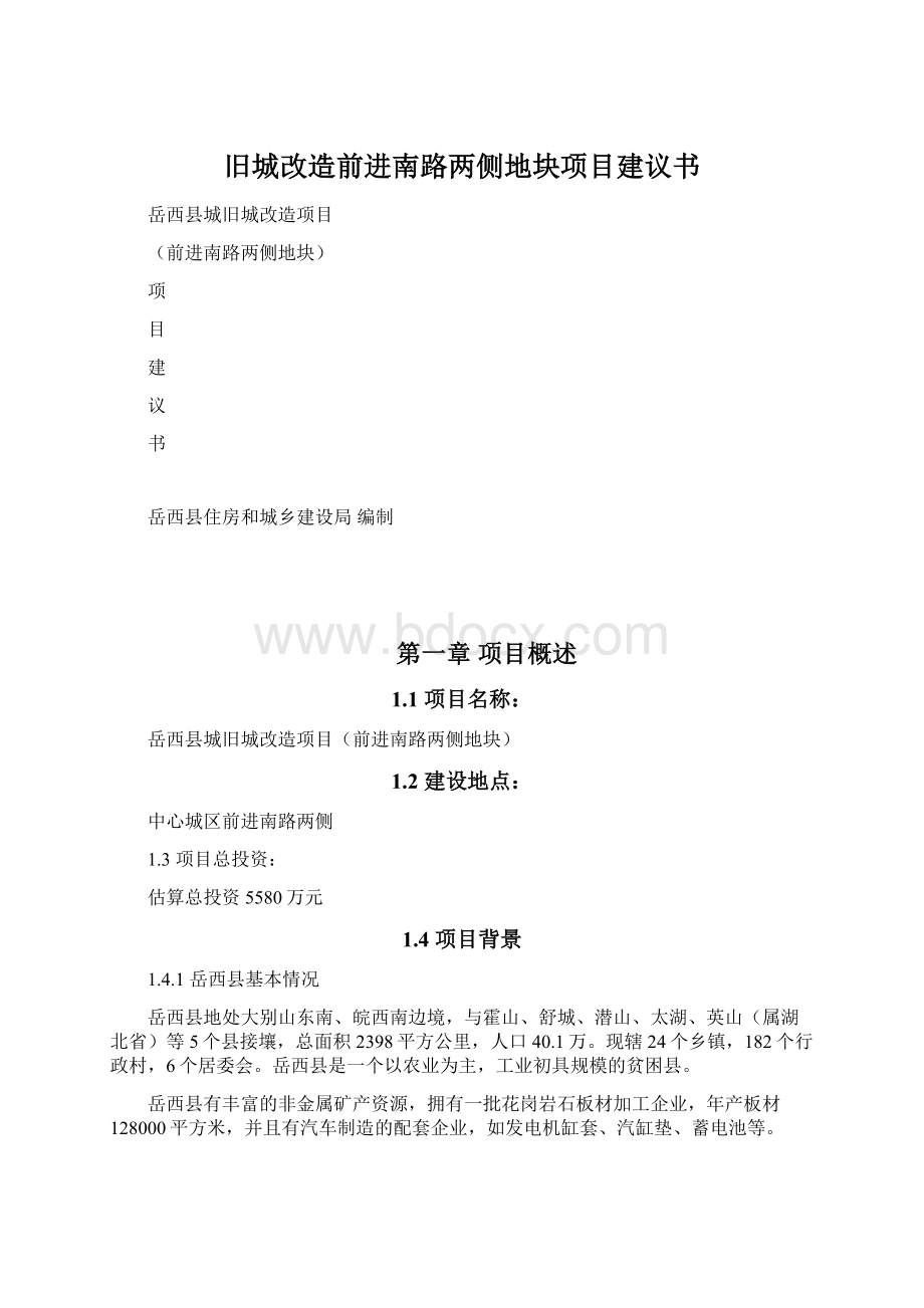 旧城改造前进南路两侧地块项目建议书Word文档格式.docx