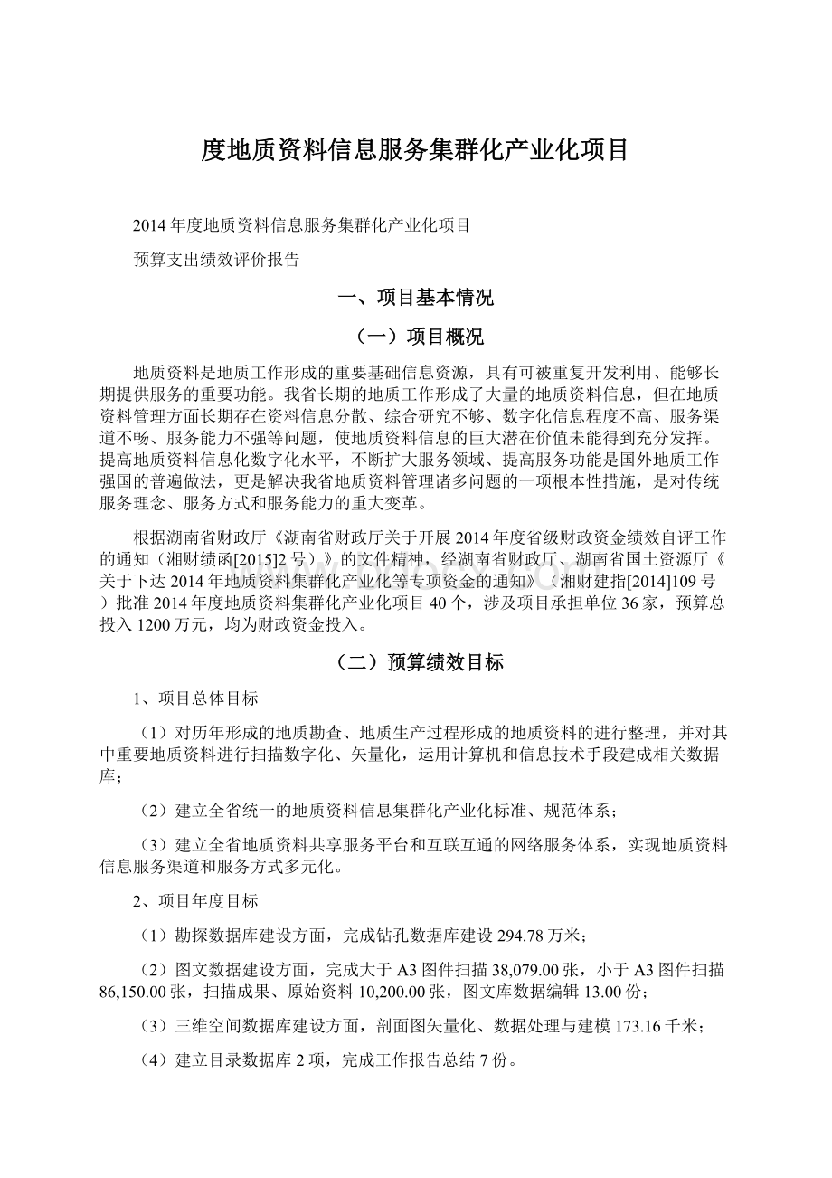 度地质资料信息服务集群化产业化项目文档格式.docx