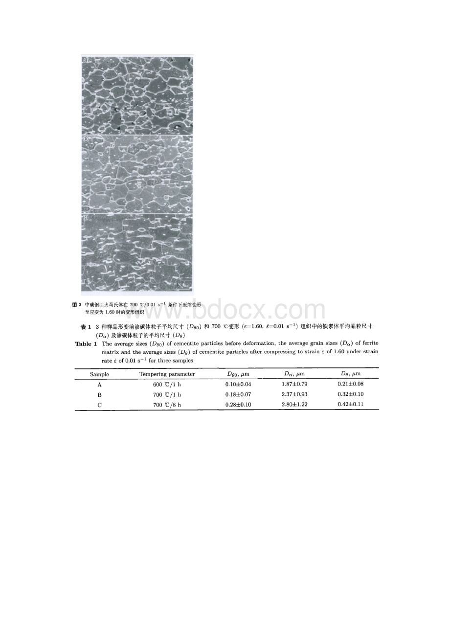 中碳钢回火马氏体热变形过程中的铁素体动态再结晶.docx_第3页