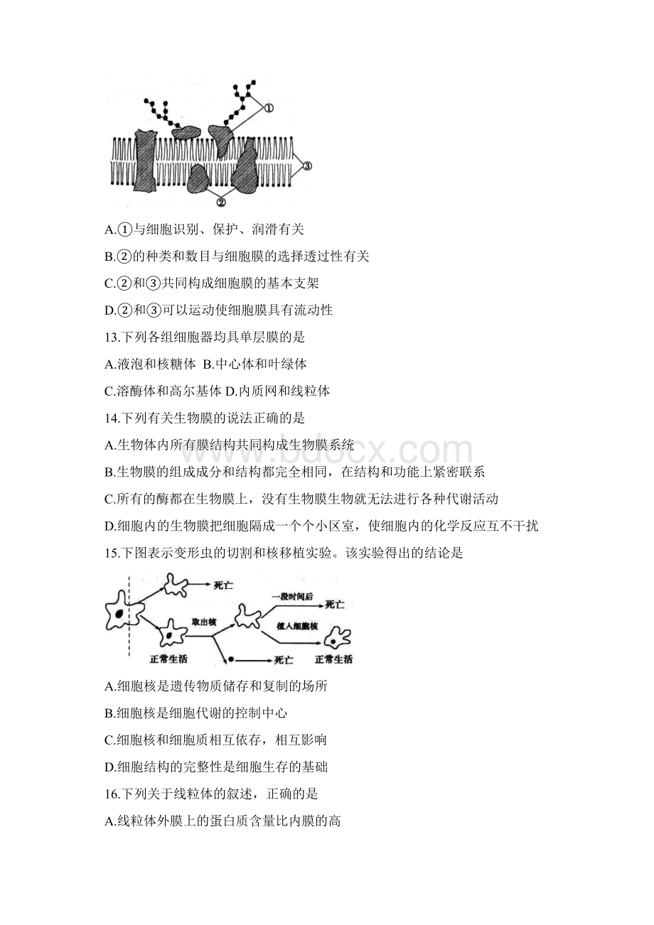 生物福建省厦门市学年高一上学期质量检测试题.docx_第3页