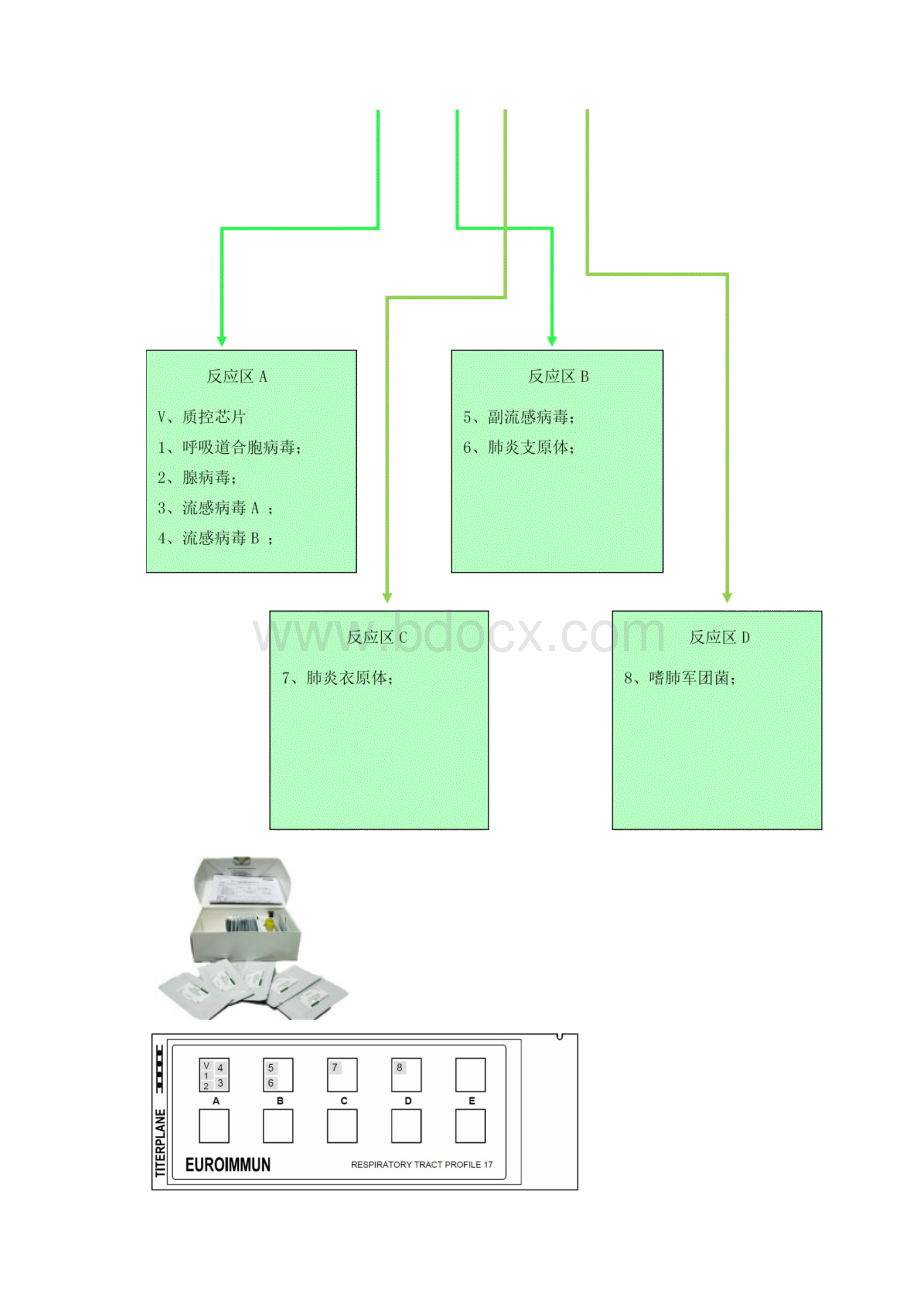 呼吸道病原体谱项目书.docx_第3页