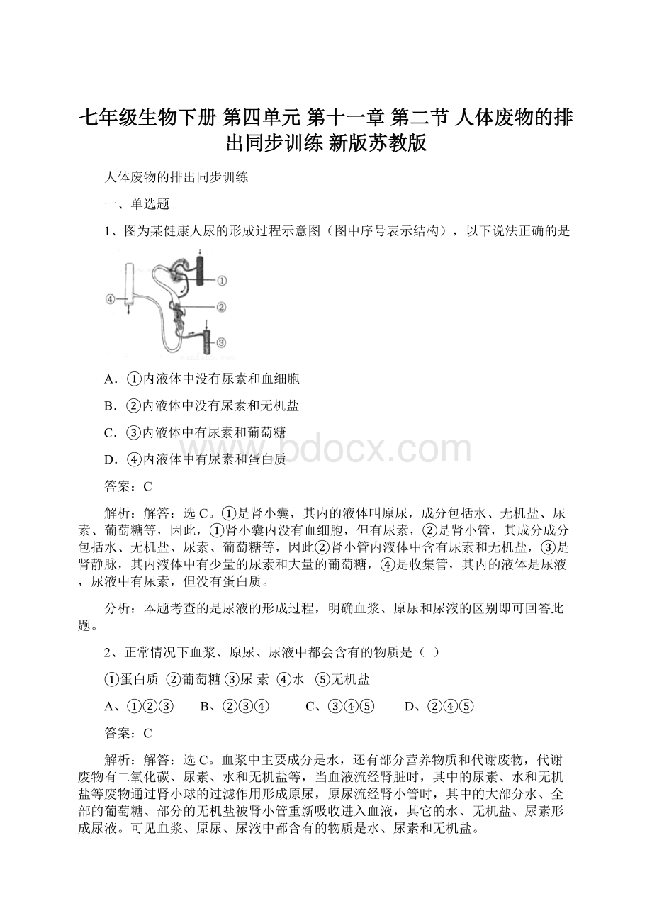 七年级生物下册 第四单元 第十一章 第二节 人体废物的排出同步训练 新版苏教版文档格式.docx_第1页