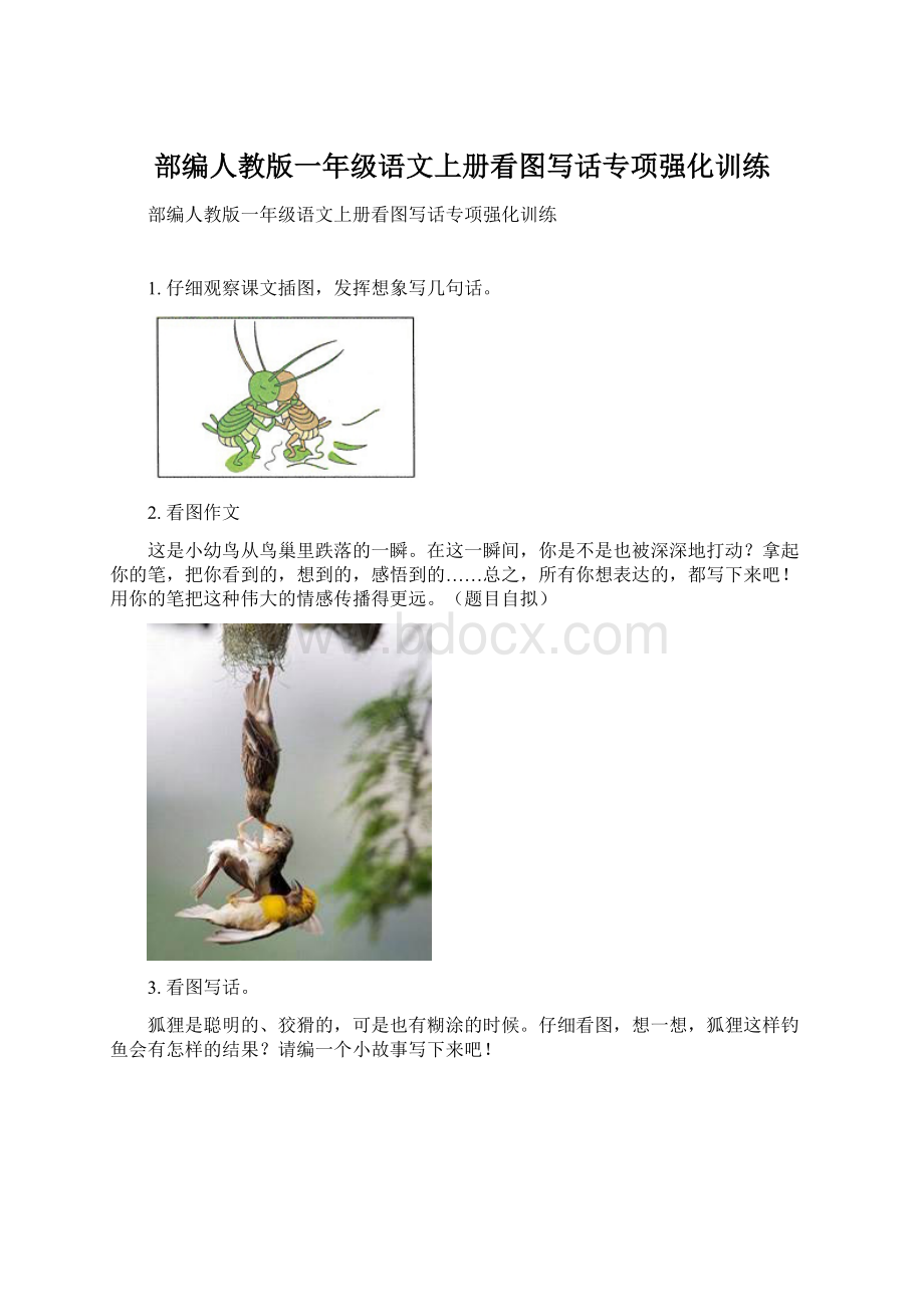 部编人教版一年级语文上册看图写话专项强化训练Word文档格式.docx_第1页