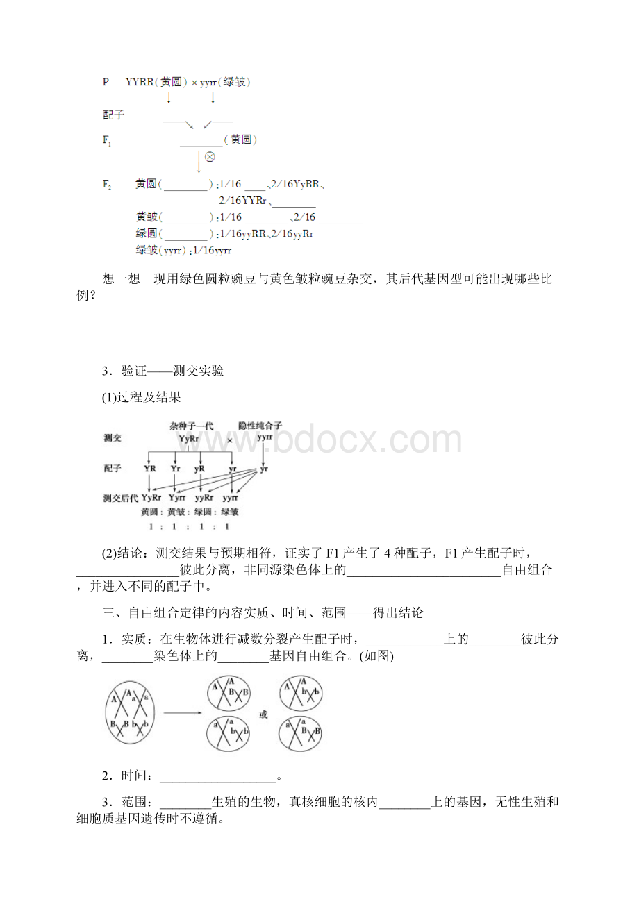 届高三生物大一轮复习 第五单元 学案19 孟德尔的豌豆杂交实验二.docx_第2页