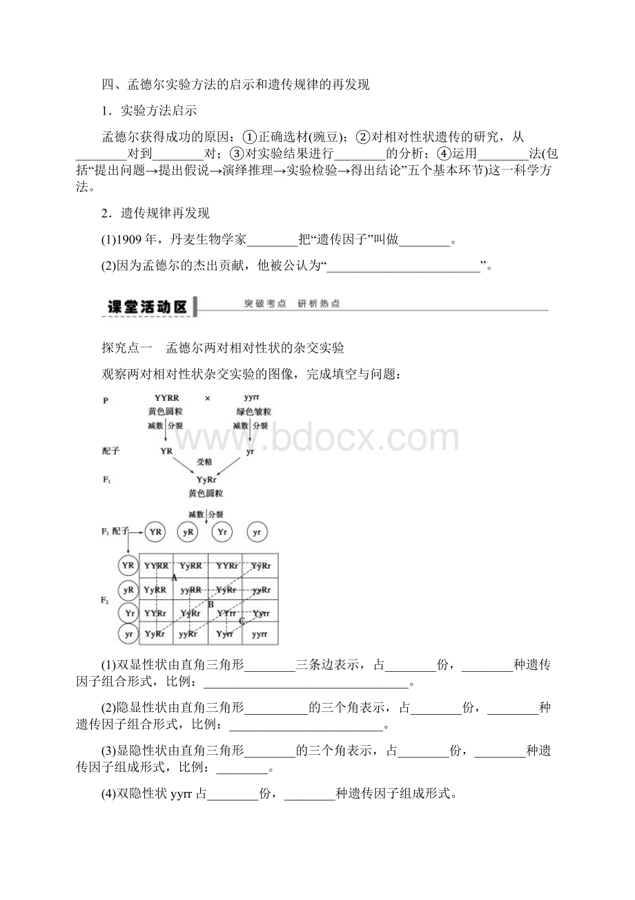 届高三生物大一轮复习 第五单元 学案19 孟德尔的豌豆杂交实验二.docx_第3页