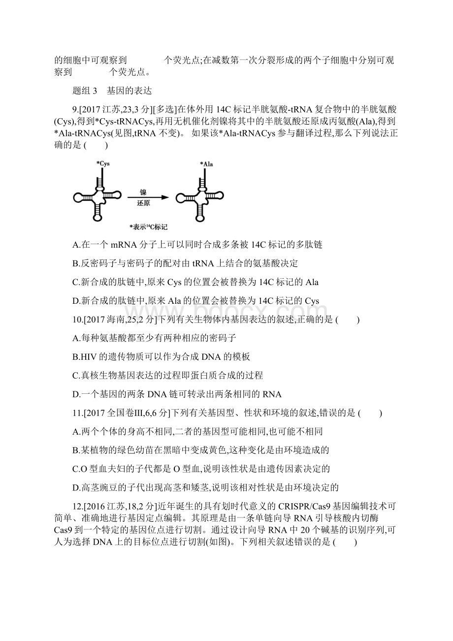 高考生物专题过关练习 遗传的分子基础名校专题练1.docx_第3页