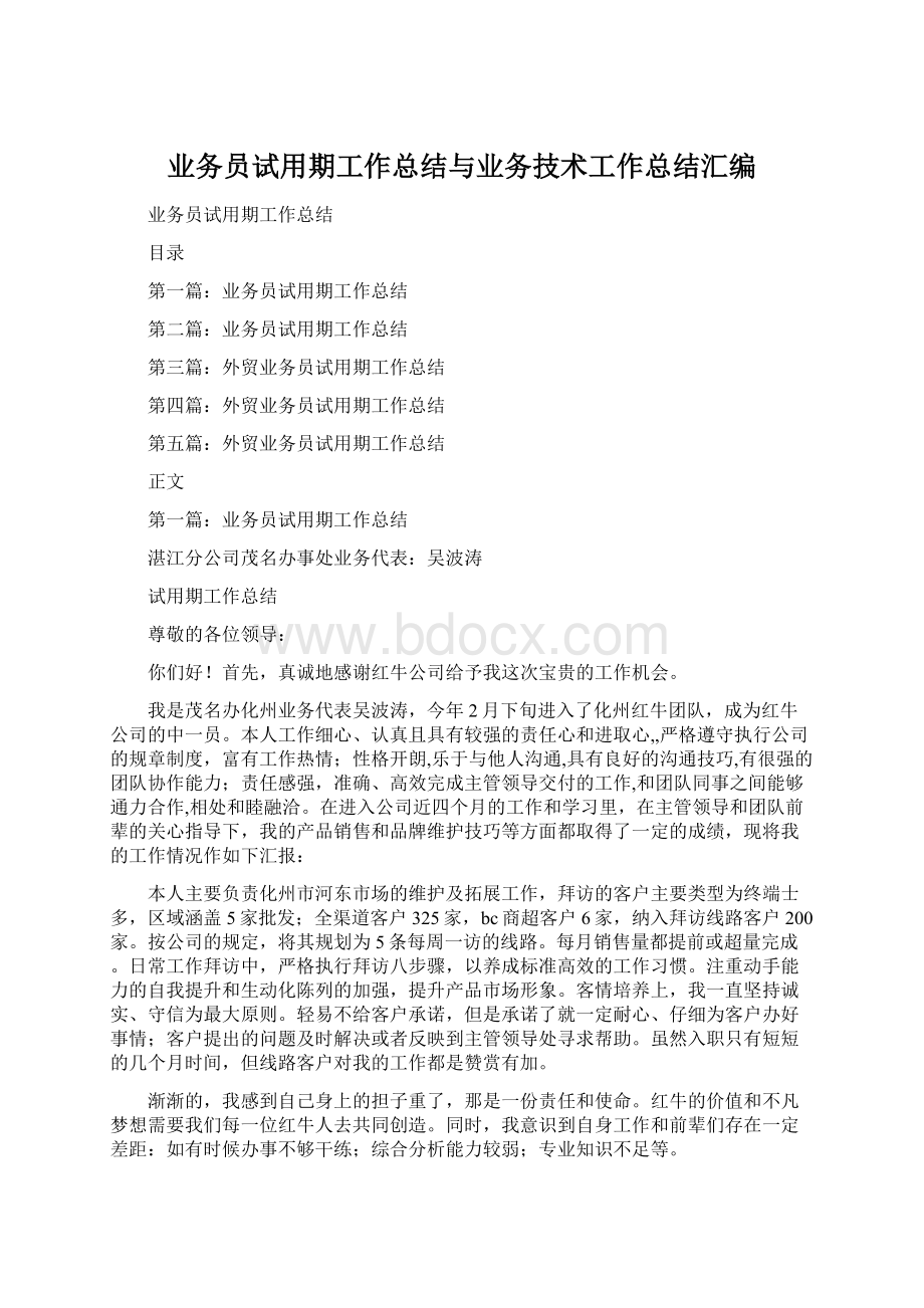 业务员试用期工作总结与业务技术工作总结汇编.docx_第1页