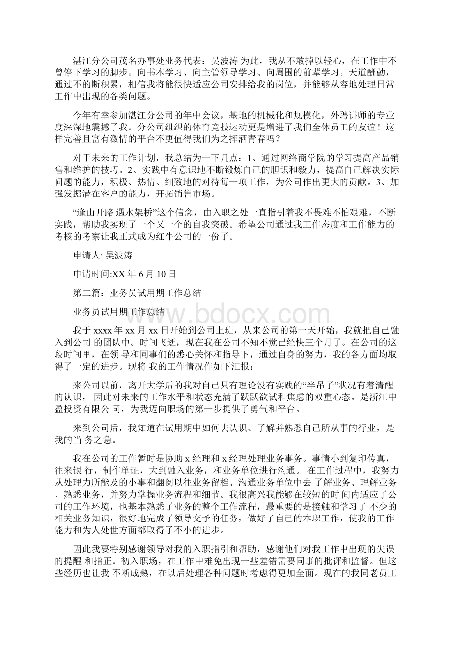 业务员试用期工作总结与业务技术工作总结汇编.docx_第2页