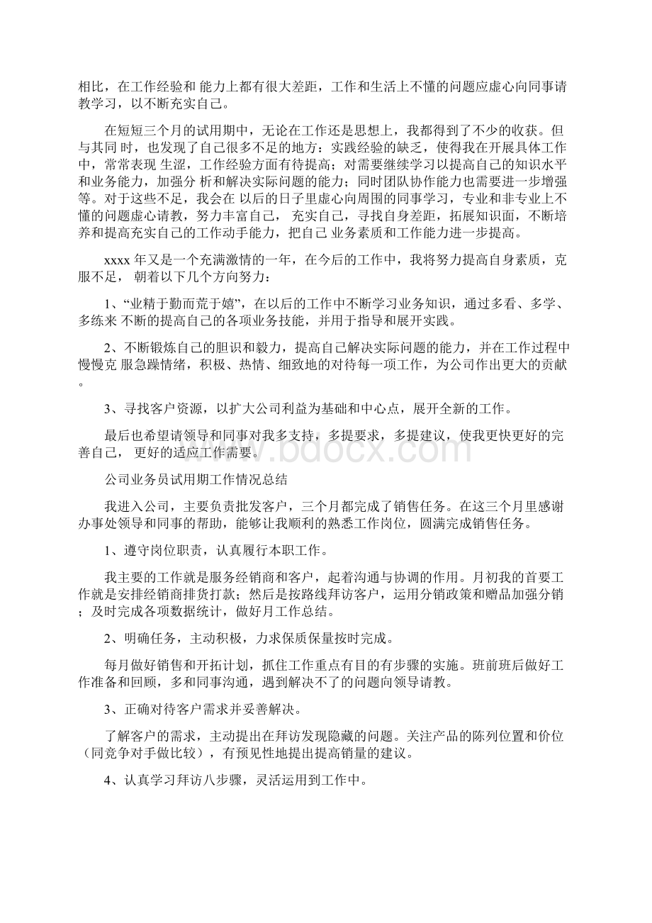 业务员试用期工作总结与业务技术工作总结汇编.docx_第3页