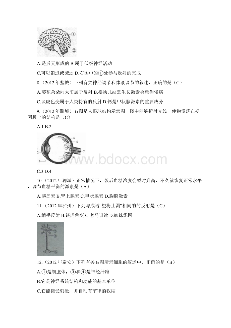 中考专题消化和吸收 14.docx_第2页