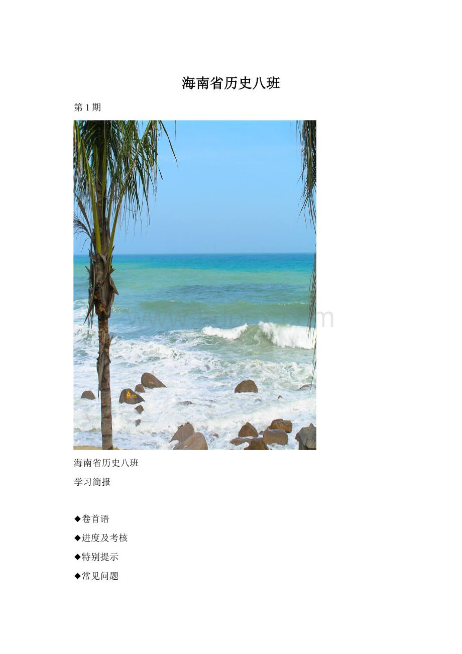 海南省历史八班Word文件下载.docx