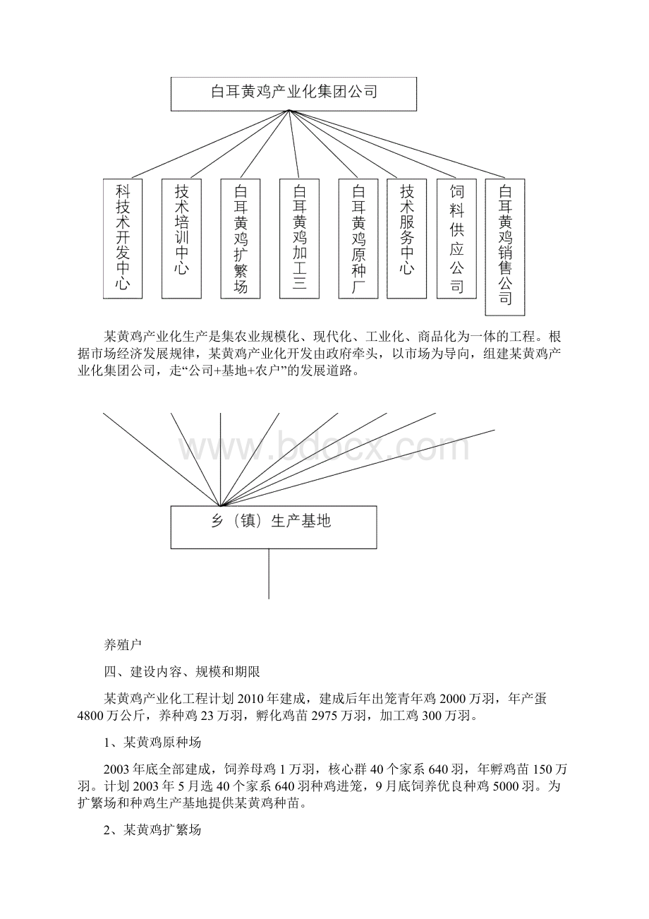 某黄鸡产业化生产可行性研究报告.docx_第3页