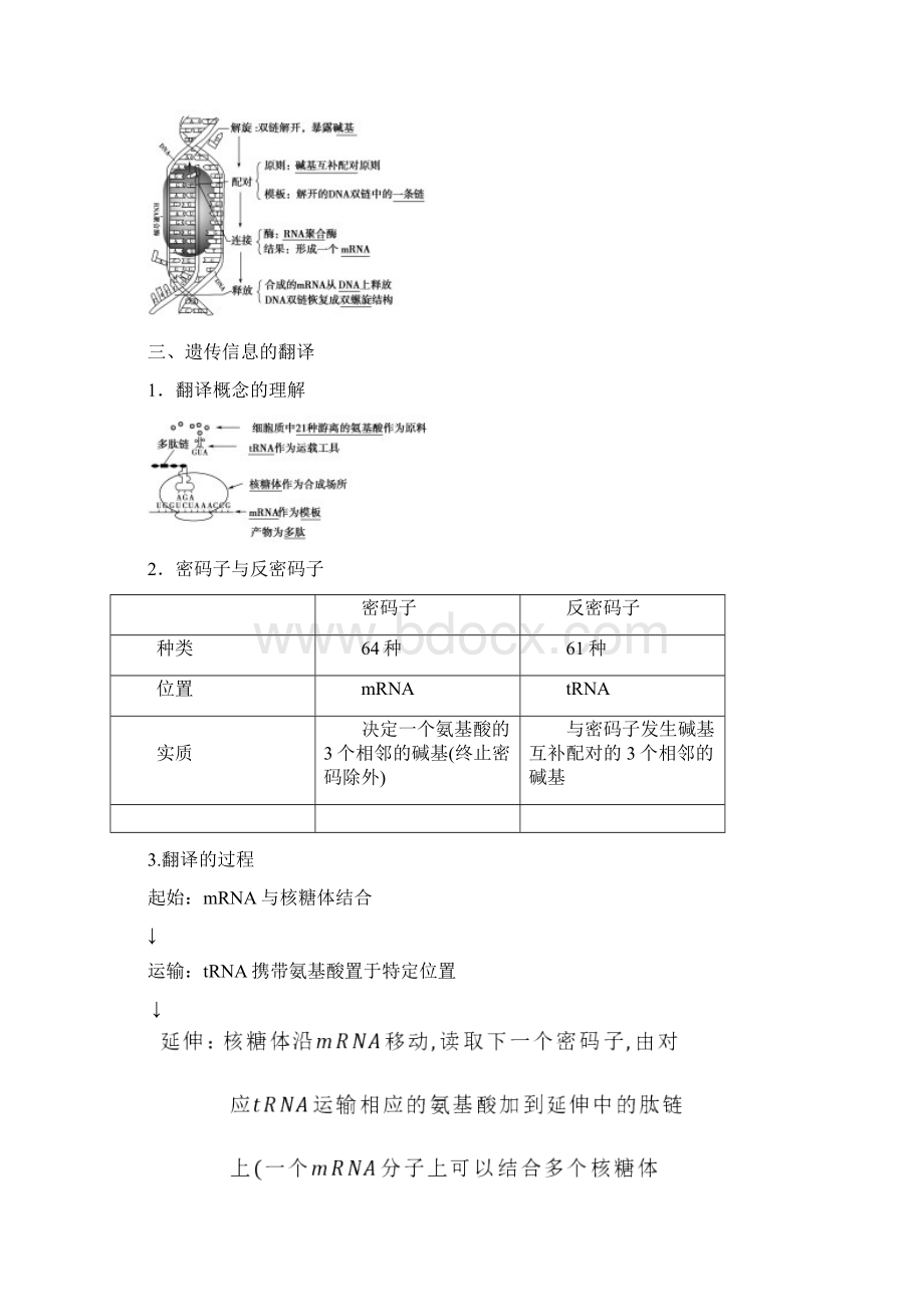 高中生物第4章基因的表达第1节基因指导蛋白质的合成教学案新人教版必修第二册.docx_第3页