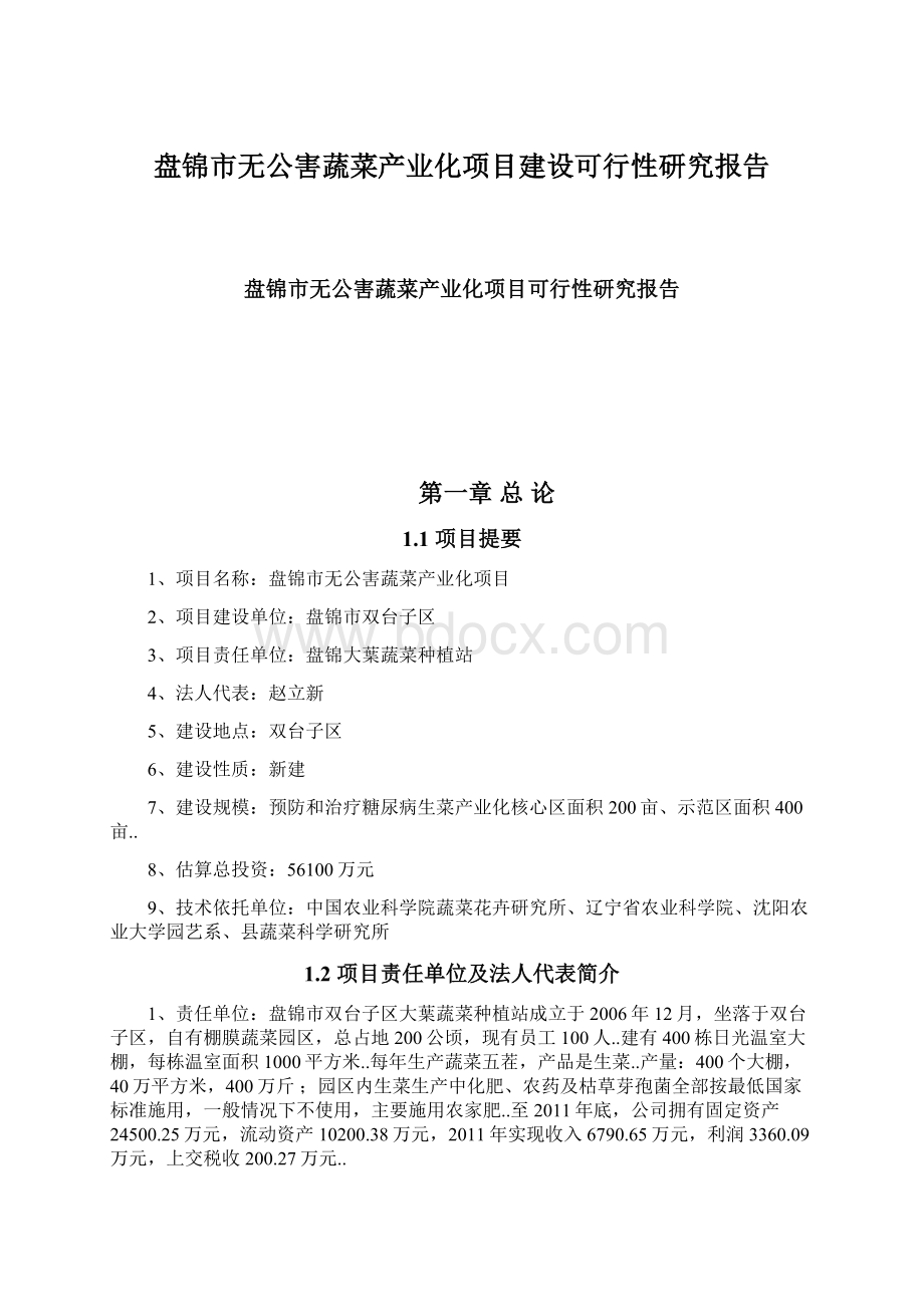 盘锦市无公害蔬菜产业化项目建设可行性研究报告.docx_第1页