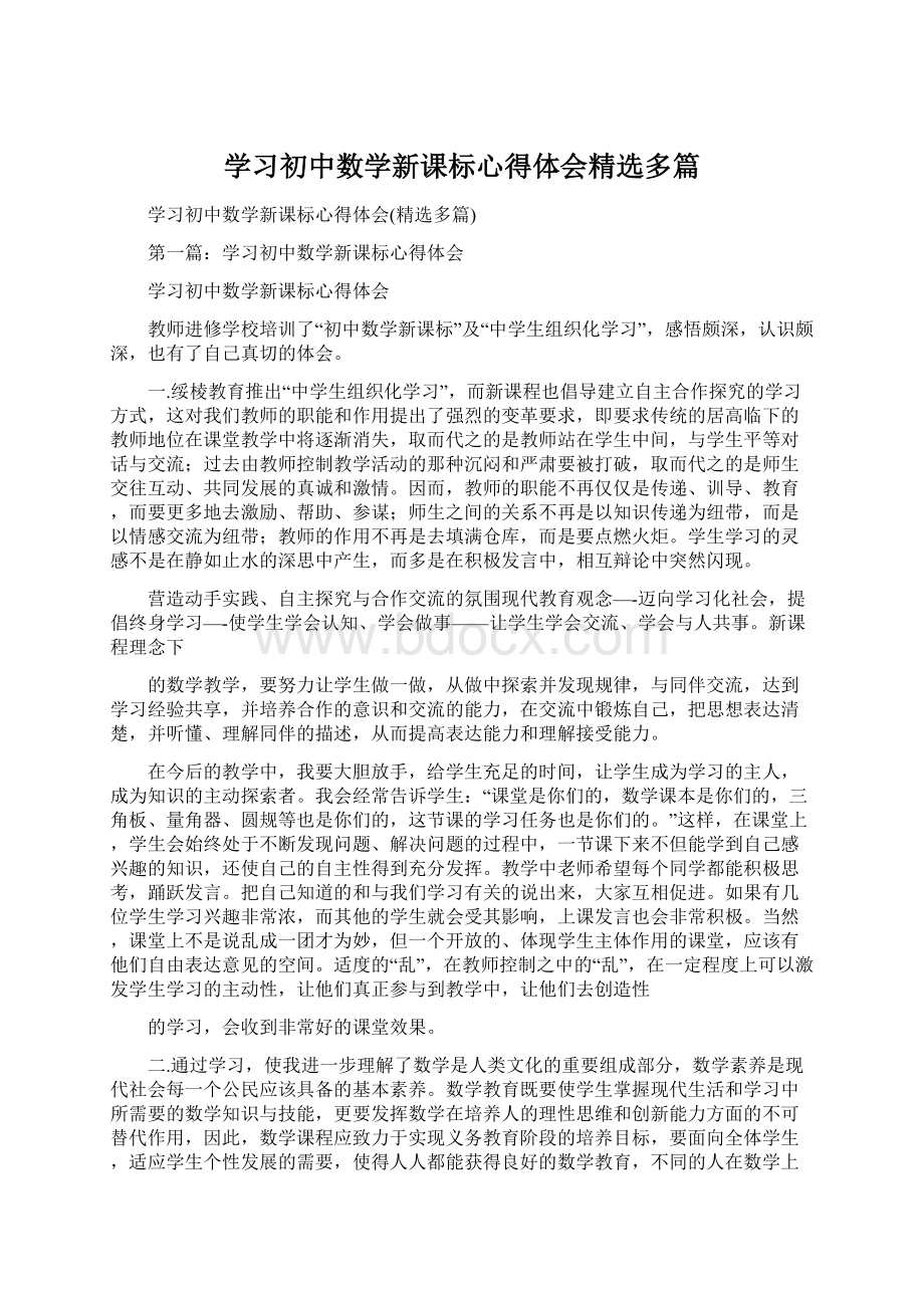 学习初中数学新课标心得体会精选多篇.docx