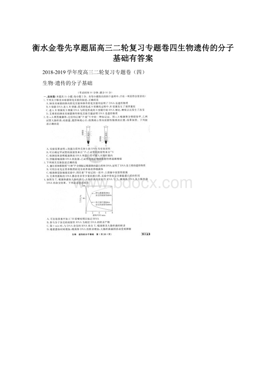 衡水金卷先享题届高三二轮复习专题卷四生物遗传的分子基础有答案Word文档格式.docx