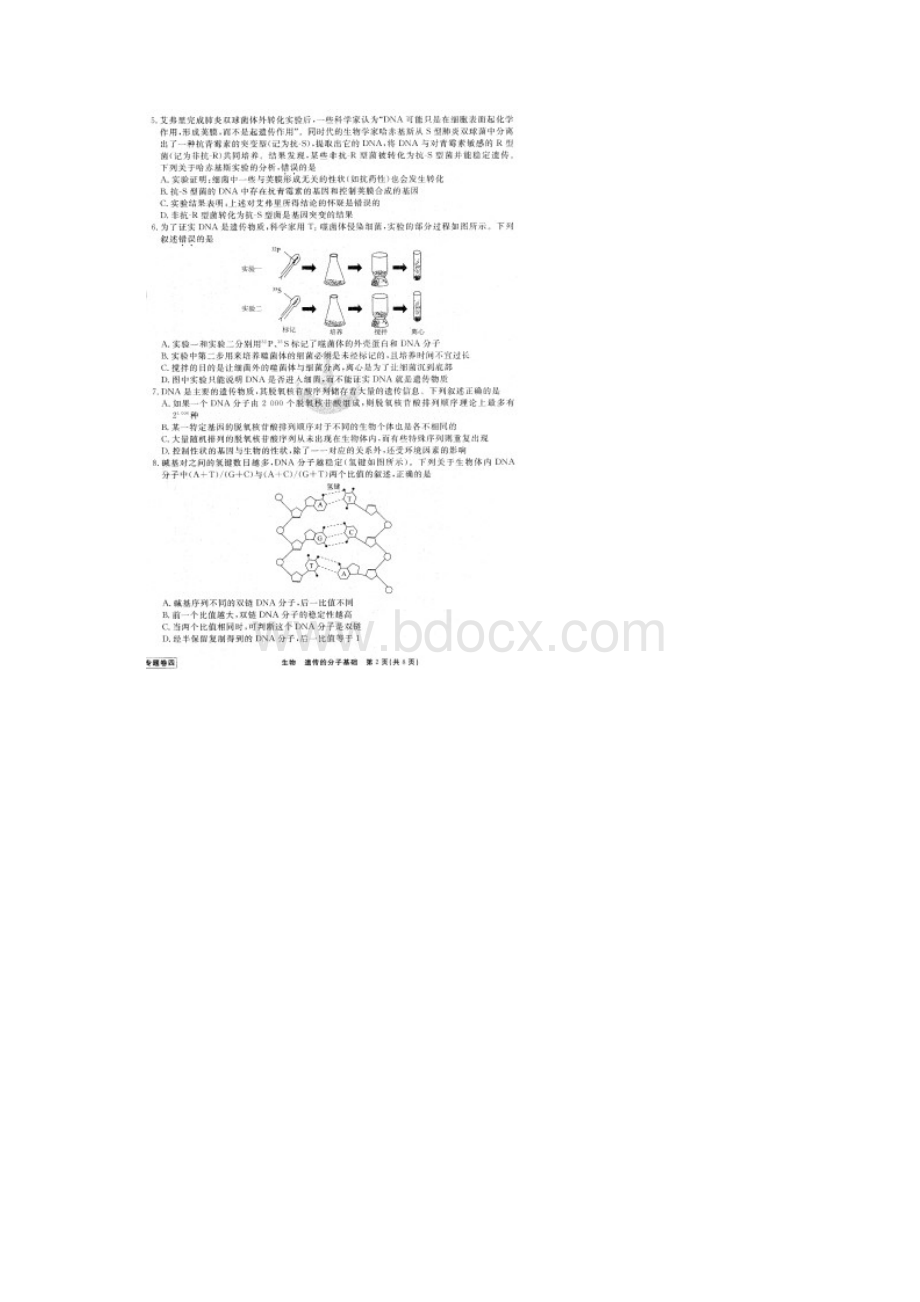 衡水金卷先享题届高三二轮复习专题卷四生物遗传的分子基础有答案.docx_第2页