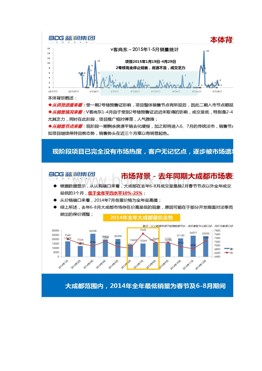 正合地产成都蓝润V客尚东二期入市营销策略4精.docx_第2页