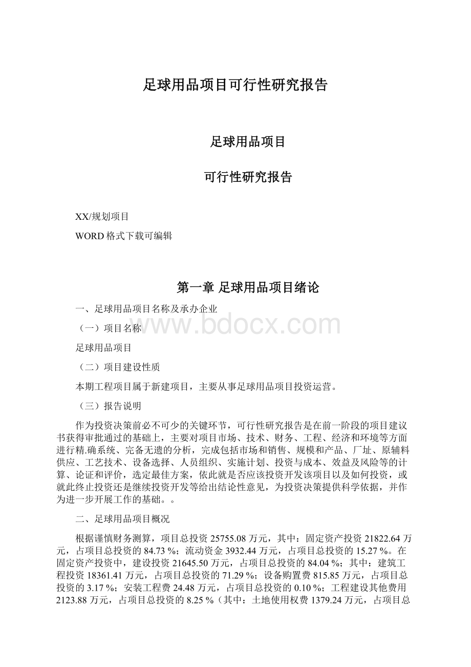 足球用品项目可行性研究报告.docx_第1页