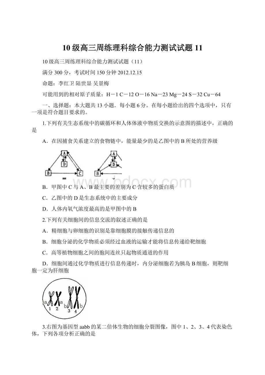 10级高三周练理科综合能力测试试题11Word格式.docx