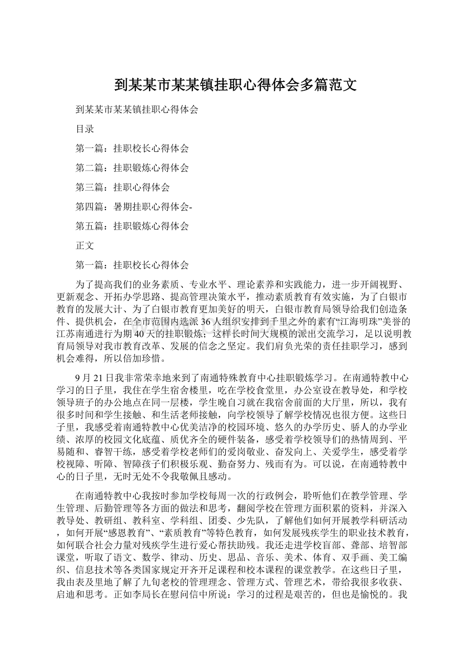 到某某市某某镇挂职心得体会多篇范文Word格式文档下载.docx_第1页