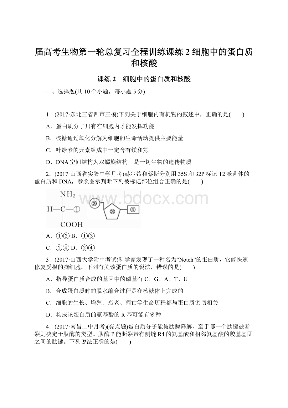 届高考生物第一轮总复习全程训练课练2 细胞中的蛋白质和核酸Word格式文档下载.docx