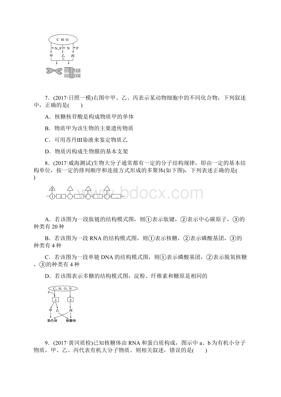 届高考生物第一轮总复习全程训练课练2 细胞中的蛋白质和核酸.docx_第3页