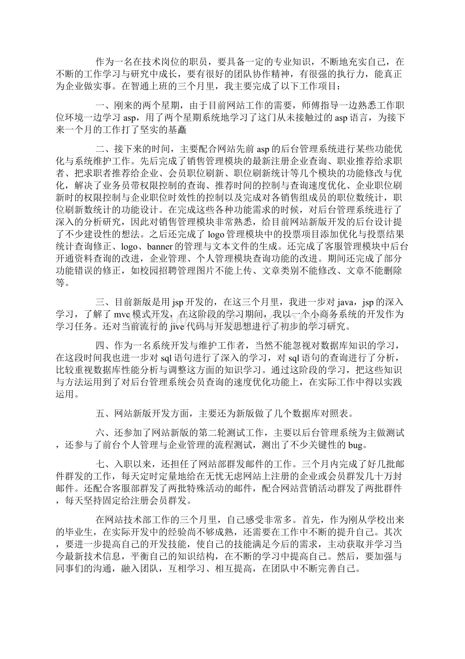 软件年终个人工作总结范文.docx_第2页