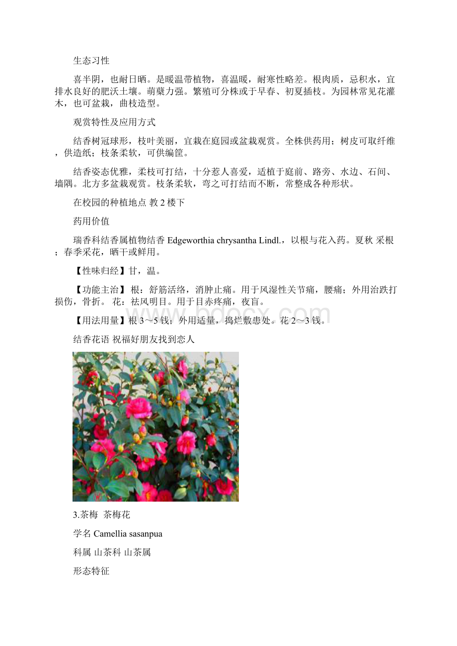 20种早春开花植物资料.docx_第3页