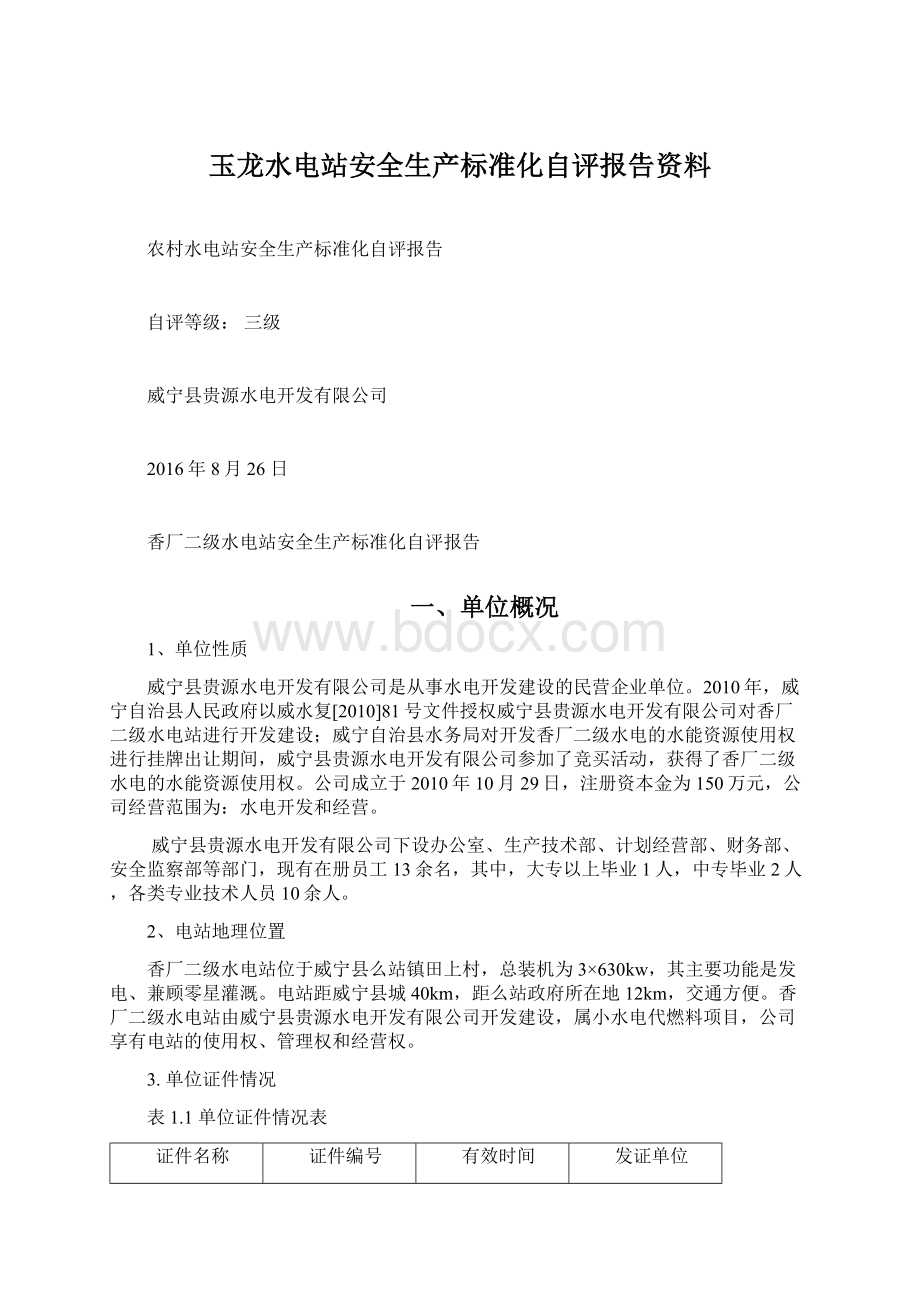 玉龙水电站安全生产标准化自评报告资料.docx_第1页