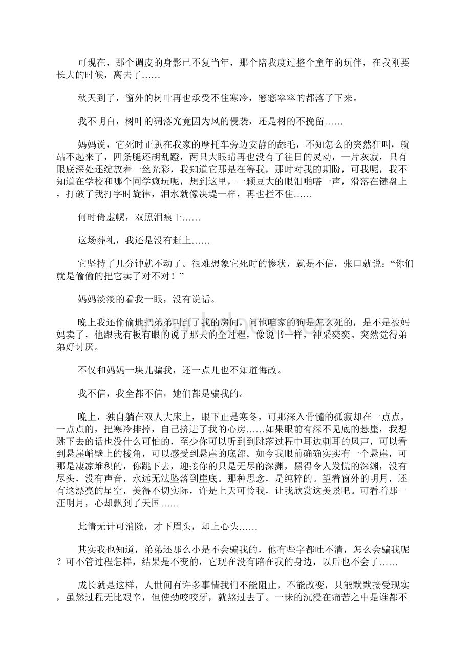 高三散文伙伴文档格式.docx_第2页