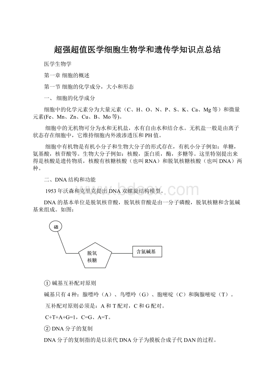 超强超值医学细胞生物学和遗传学知识点总结Word文件下载.docx