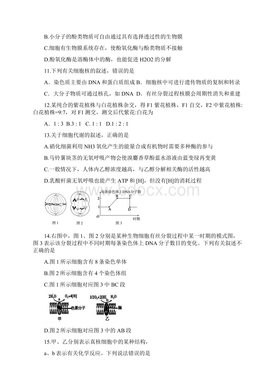 届甘肃省天水市第二中学高三上学期期中考试生物试题Word文件下载.docx_第3页