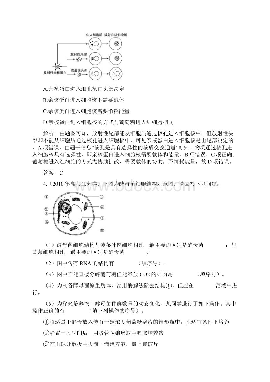 高考生物 131细胞膜与细胞核含生物膜的流动镶嵌模型配套试题必修1.docx_第2页