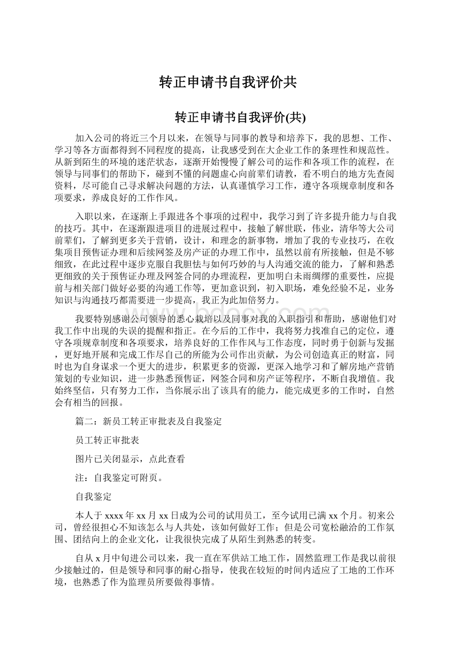 转正申请书自我评价共文档格式.docx