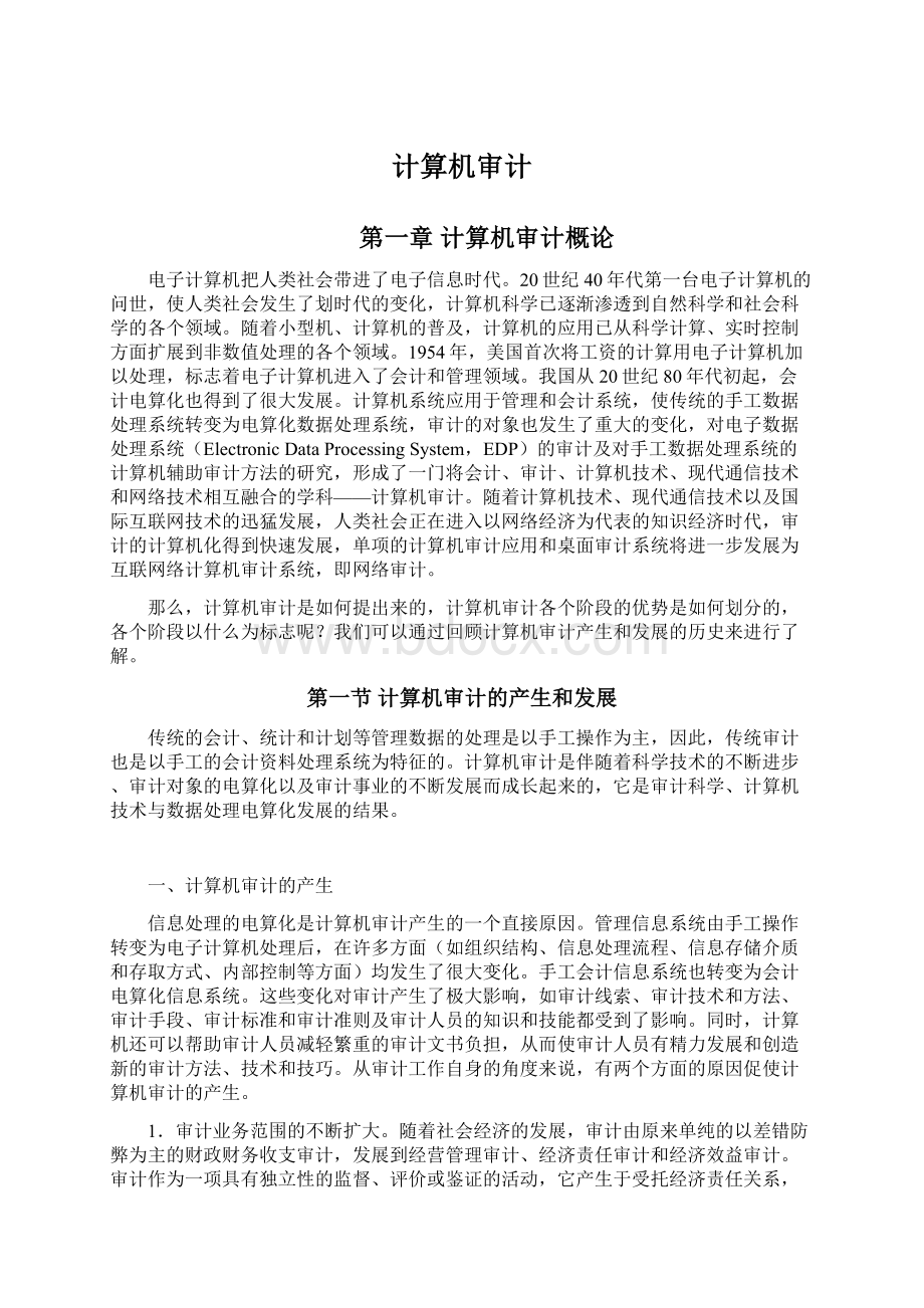 计算机审计Word文件下载.docx